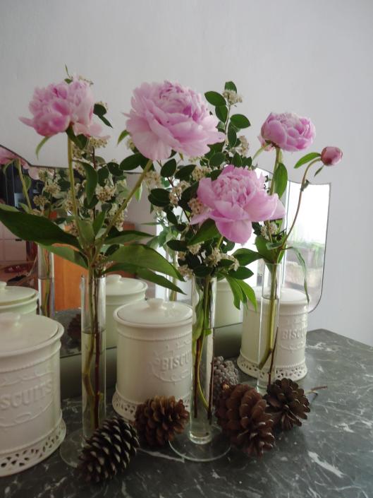 pivoine-fête-des-mères