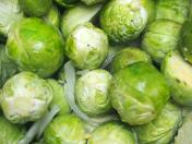 choux de Bruxelles