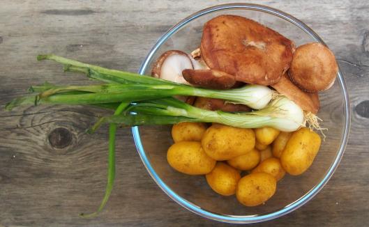 pomme de terre nouvelle-pommes de terre sautées- shiikaté-oignon cébette-blog Narbonne-Narbonne-blogueuse Narbonne-Carole Caillaba Suchet