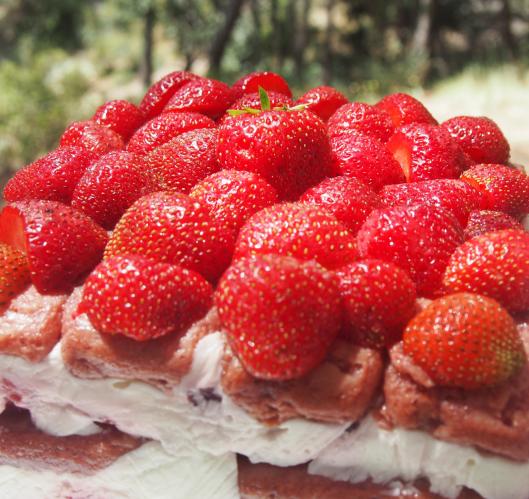 la Clape-charlotte aux fraises-fraise-biscuits roses de Reims-fromage blanc-mascarpone-blog Narbonne-blogueuse Narbonne