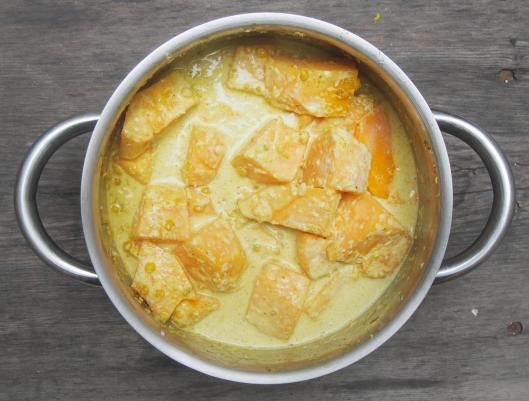 curry de potiron- toor dhal-pois d’angole décortiqué-sans gluten-végan-blog Narbonne-blogueuse Narbonne